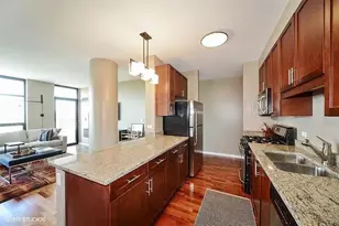 1255 S State St, Chicago, IL 60605 - Photo 5