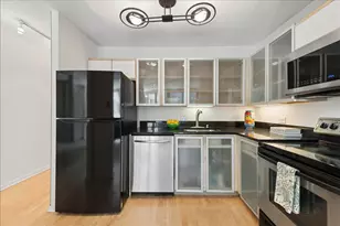 440 N McClurg Ct, Chicago, IL 60611 - Photo 5