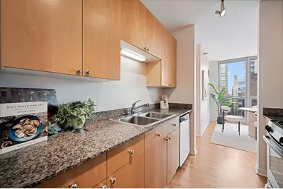 200 W Grand Avenue #804, Chicago, IL 60654 - Photo 13