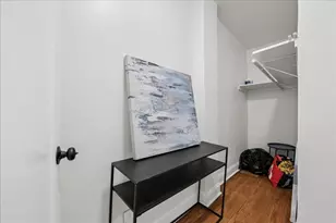 1103 Holly Ct, Oak Park, IL 60301 - Photo 13