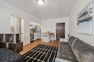 1103 Holly Ct, Oak Park, IL 60301 - Photo 11