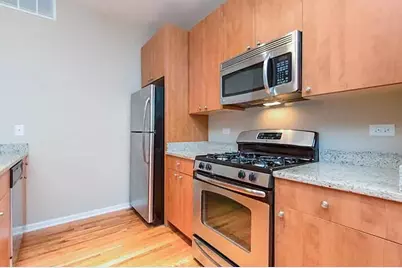 318 E 25th Place #2E, Chicago, IL 60616 - Photo 3