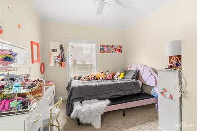 384 E Chicago Street, Elgin, IL 60120 - Photo 9