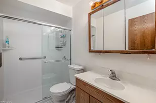 8127 Chestnut Dr, Palos Hills, IL 60465 - Photo 19