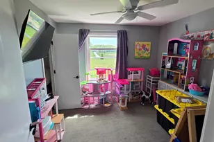 24320 S 80th Ave, Frankfort, IL 60423 - Photo 39