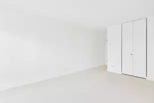 10 E Ontario St, Chicago, IL 60611 - Photo 21