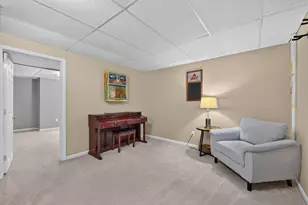 12 Foxglove Ct, Bolingbrook, IL 60440 - Photo 47