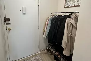 253 E Delaware Pl, Chicago, IL 60611 - Photo 9