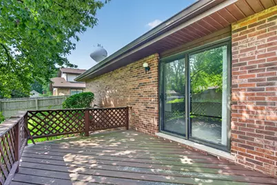 914 Shagbark Road, New Lenox, IL 60451 - Photo 25