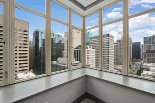 118 E Erie St, Chicago, IL 60611 - Photo 17