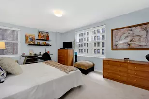 850 N Dewitt Pl, Chicago, IL 60611 - Photo 19