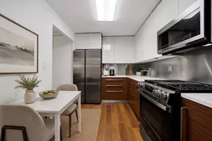850 N Dewitt Pl, Chicago, IL 60611 - Photo 13