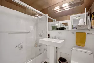 850 N Dewitt Pl, Chicago, IL 60611 - Photo 21