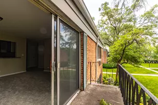 711 E Falcon Dr, Arlington Heights, IL 60005 - Photo 17