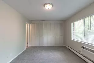 711 E Falcon Dr, Arlington Heights, IL 60005 - Photo 11