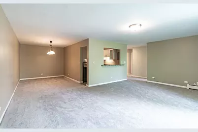 711 E Falcon Drive #201, Arlington Heights, IL 60005 - Photo 5