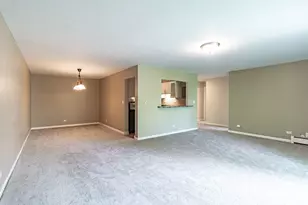 711 E Falcon Dr, Arlington Heights, IL 60005 - Photo 5
