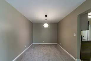 711 E Falcon Dr, Arlington Heights, IL 60005 - Photo 7