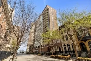 71 E Division St, Chicago, IL 60610 - Photo 1