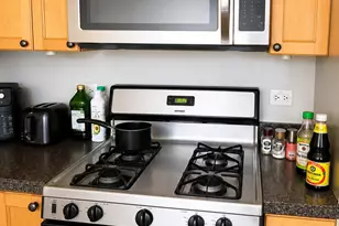 1137 W Taylor St, Chicago, IL 60607 - Photo 9