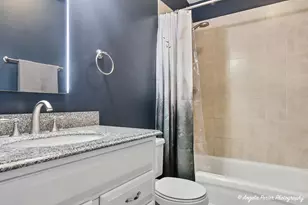 24903 W Oak Ave, Lake Villa, IL 60046 - Photo 9