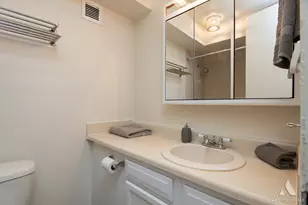 3001 S Michigan Ave, Chicago, IL 60616 - Photo 9
