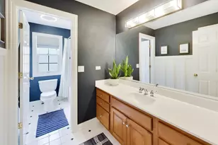 1027 E Marion St, Arlington Heights, IL 60004 - Photo 41