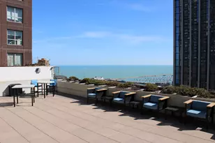 474 N Lake Shore Dr, Chicago, IL 60611 - Photo 45
