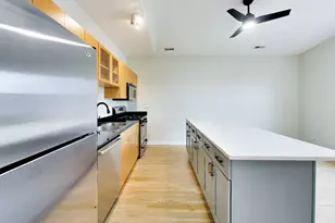519 S Maplewood Ave, Chicago, IL 60612 - Photo 11
