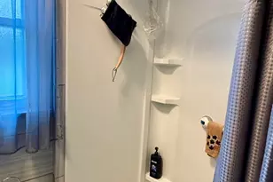 6442 S Wolcott Ave, Chicago, IL 60636 - Photo 9