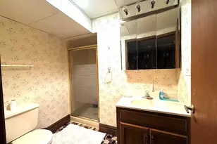 550 S Walnut St, Mundelein, IL 60060 - Photo 9