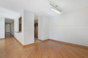 1169 S Plymouth Ct, Chicago, IL 60605 - Photo 5