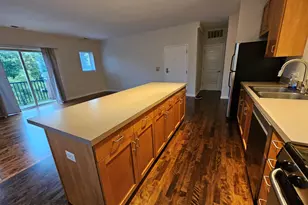 1244 S Blue Island Ave, Chicago, IL 60608 - Photo 3
