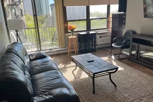 2740 N Pine Grove Ave, Chicago, IL 60614 - Photo 9