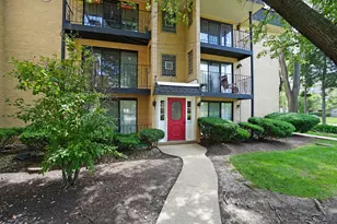 1003 S Euclid Ave, Elmhurst, IL 60126 - Photo 1