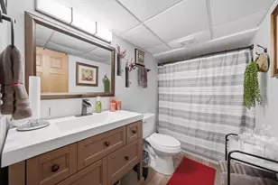 25013 Sandra Ln, Plainfield, IL 60544 - Photo 19