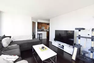 1455 N Sandburg Terrace, Chicago, IL 60610 - Photo 3