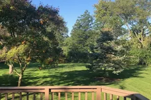 6918 Parkside Ave, Countryside, IL 60525 - Photo 21