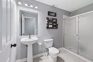 518 Wildflower Way, Streamwood, IL 60107 - Photo 43