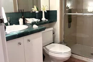 400 E Ohio St, Chicago, IL 60611 - Photo 23