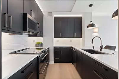 501 N Clinton Street #2004, Chicago, IL 60654 - Photo 5