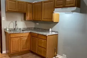 1552 W Highland Ave, Chicago, IL 60660 - Photo 9