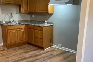 1552 W Highland Ave, Chicago, IL 60660 - Photo 3
