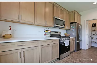 2490 Olivia Court, Wauconda, IL 60084 - Photo 9