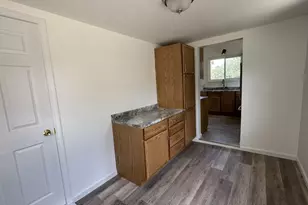 101 N Vermillion St, Troy Grove, IL 61372 - Photo 11