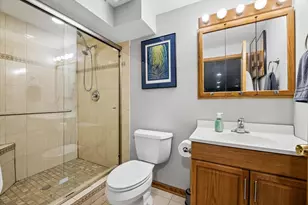 6602 Natasha Ct, Countryside, IL 60525 - Photo 25