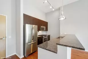 125 S Green St, Chicago, IL 60607 - Photo 9