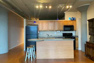1525 S Sangamon St, Chicago, IL 60608 - Photo 5