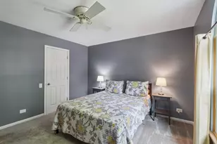 343 Cane Garden Cir, Aurora, IL 60504 - Photo 13