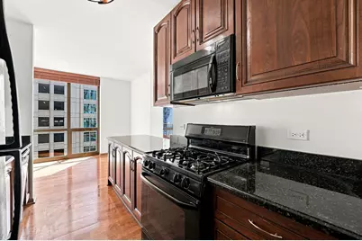 635 N Dearborn Street #902, Chicago, IL 60654 - Photo 7